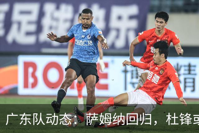 广东队动态：萨姆纳回归，杜锋或将出任国家队主教练？